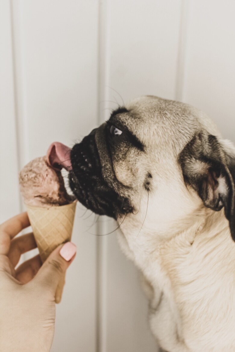 Easy Dog Ice Cream Recipe (Banana Peanut Butter Swirl)